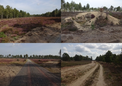 Rossow - Kyritz-Ruppiner Heide