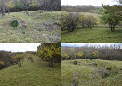 Lindendorf - Seelower Höhen