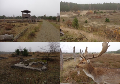 Schönow - ehem. Truppenübungsplatz