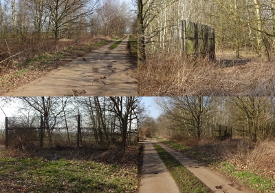 Seebenau - Grenzzaun